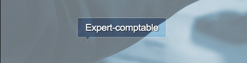 Expert Comptable